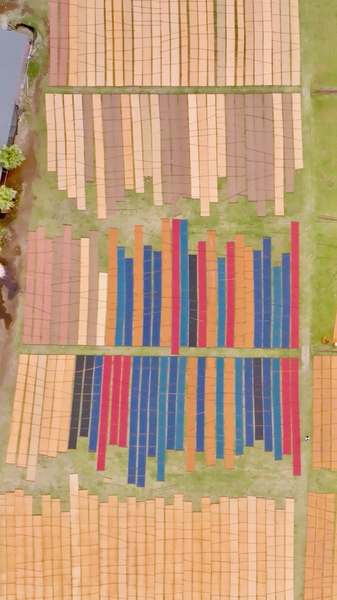 Shunde’s ‘Soft Gold’ Silk Weaves Tradition into 2026 Trends 🌟👗 video poster