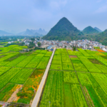 China Ramps Up Resource Support for Major 2026 Projects 🌱🏗️