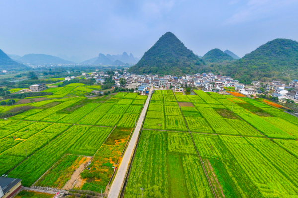 China Ramps Up Resource Support for Major 2026 Projects 🌱🏗️