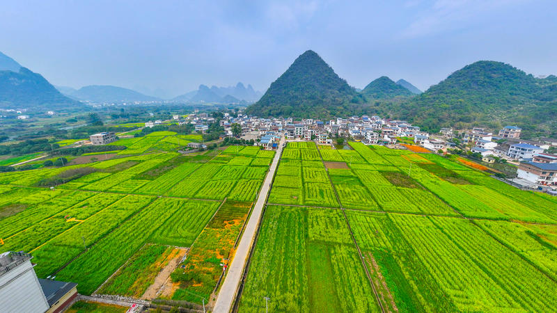 China Ramps Up Resource Support for Major 2026 Projects 🌱🏗️