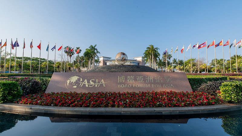 Share Your Voice: 2026 Boao Forum Poll Opens 🌏✨