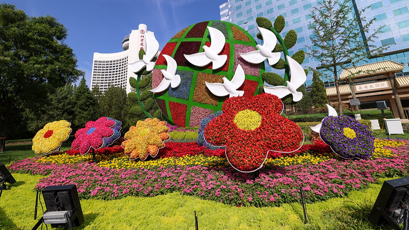 China's Diplomacy Anchored by Global Engagement, FM States 🌐✨