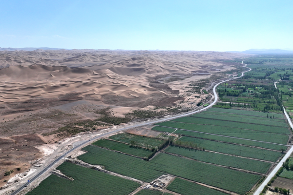 China’s Green Revolution Hits 40-Year Milestone 🌳📈