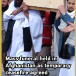 Afghanistan-Pakistan Ceasefire Brings Brief Respite Amid Grief 🌍🕊️ video poster