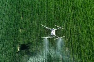 🌾🚁 BeiDou Drones Revolutionize Wheat Farming in China’s Xinjiang video poster