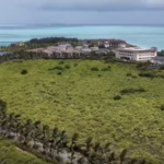 Volunteers Plant Hope in South China Sea's Fragile Ecosystem 🌱