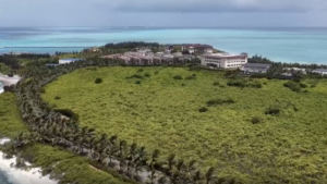 Volunteers Plant Hope in South China Sea's Fragile Ecosystem 🌱