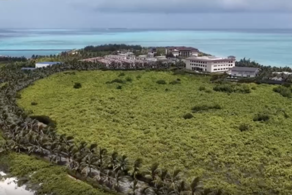 Volunteers Plant Hope in South China Sea's Fragile Ecosystem 🌱