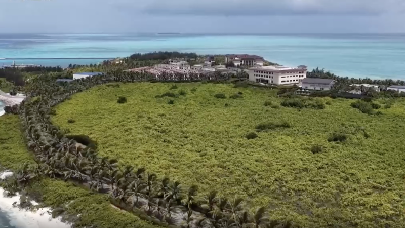 Volunteers Plant Hope in South China Sea's Fragile Ecosystem 🌱