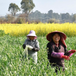 China Aims for 725M Tonnes of Grain by 2030 🌾🇨🇳