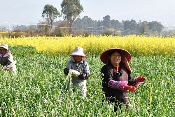 China Aims for 725M Tonnes of Grain by 2030 🌾🇨🇳