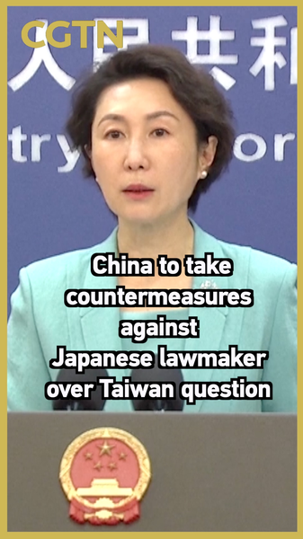 China Sanctions Japanese Lawmaker Over Taiwan Ties 🇨🇳⚖️ video poster