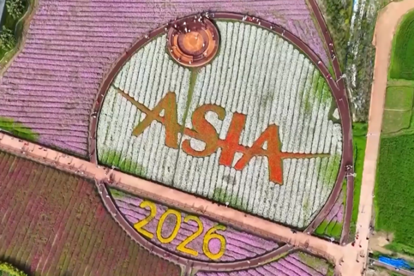 Boao Lupo Resort Prepares to Shine at 2026 BFA Conference 🌏✨ video poster