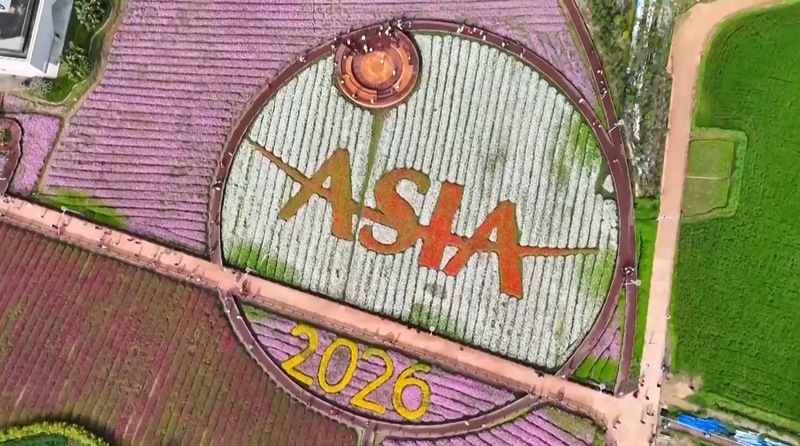 Boao Lupo Resort Prepares to Shine at 2026 BFA Conference 🌏✨ video poster