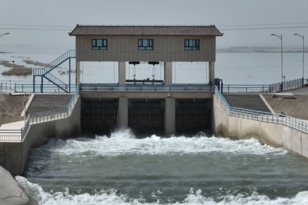 Xinjiang's Green Revolution: Sand Dunes Turned to Oases 🌱💧 video poster