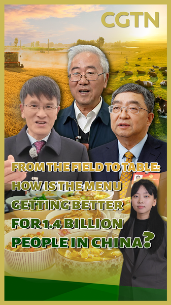 China’s Food Revolution: How 1.4 Billion People Eat Better in 2026 🌾🍳 video poster