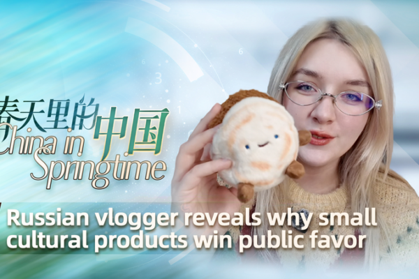 Russian Vlogger Unpacks China's Cultural Craze 🧸🇨🇳 video poster