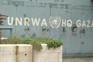UNRWA Reports 391 Staff Killed in Gaza Since 2023 Conflict 🌍💔