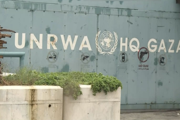 UNRWA Reports 391 Staff Killed in Gaza Since 2023 Conflict 🌍💔