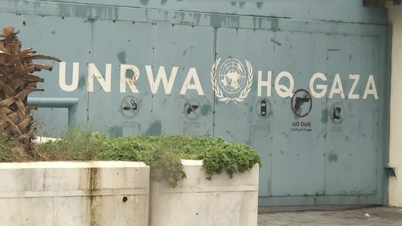 UNRWA Reports 391 Staff Killed in Gaza Since 2023 Conflict 🌍💔
