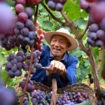 New_Book_Chronicles_Xi_Jinping_s_Leadership_in_China_s_Poverty_Eradication - 🌍NewspaperAmigo – Your Global News Buddy 🗞️ New_Book_Chronicles_Xi_Jinping_s_Leadership_in_China_s_Poverty_Eradication