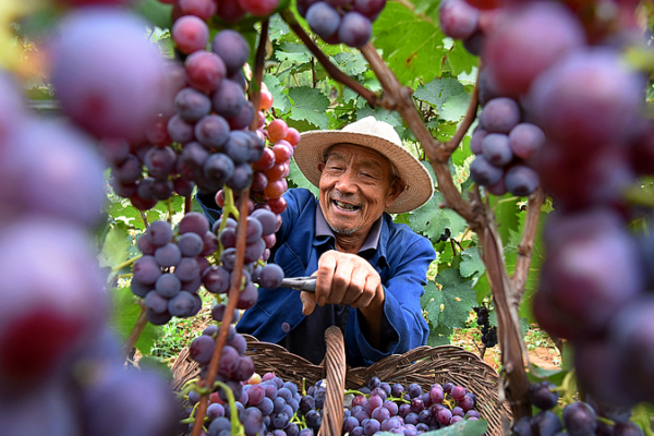 New_Book_Chronicles_Xi_Jinping_s_Leadership_in_China_s_Poverty_Eradication