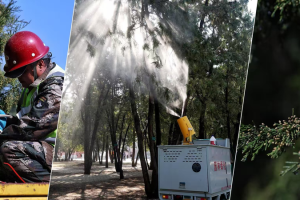 Beijing Battles Pollen with Science: Allergy Relief Spray Debuts 🌸🔬 video poster