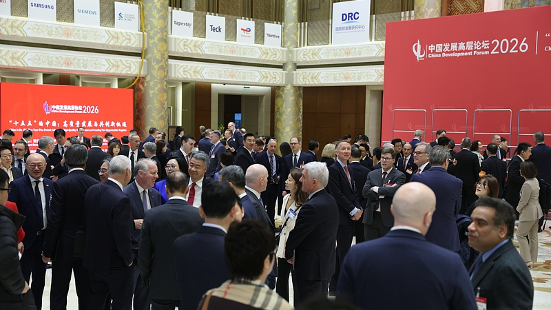 China Vows Stability at 2026 Development Forum 🌏💼