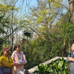 Wuhan Residents Embrace 120-Year-Old Tree in Conservation Campaign 🌳💚 Wuhan Residents Embrace 120-Year-Old Tree in Conservation Campaign 🌳💚
