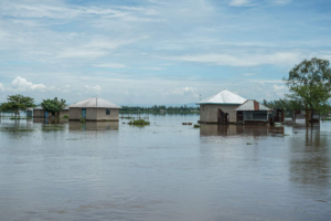 Kenya Floods: Death Toll Rises to 110 Amid Heavy Rains 🌧️💔