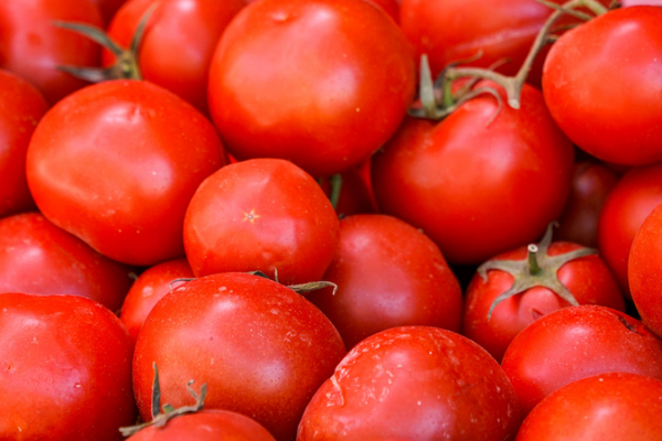 Tech Transforms Xinjiang's Barren Lands Into Fruit Oasis 🌱🍅