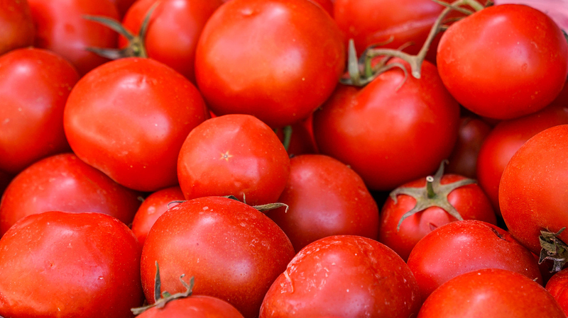Tech Transforms Xinjiang's Barren Lands Into Fruit Oasis 🌱🍅