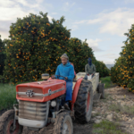 Diesel Crunch Threatens South Africa’s Citrus Export Boom 🚚🍊