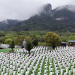 Mass Tai Chi Gathering Celebrates First International Taijiquan Day 🌏🥋 video poster