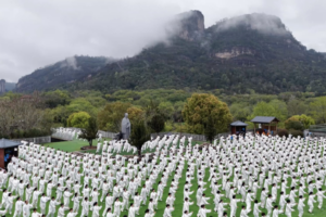 Mass Tai Chi Gathering Celebrates First International Taijiquan Day 🌏🥋 video poster