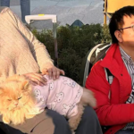 Chengdu’s New Pet Show Fuels China’s ‘Healing Economy’ Boom 🐾