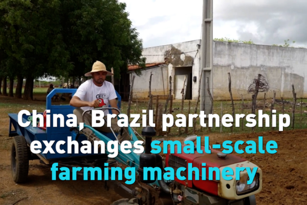 China-Brazil Agri-Tech Initiative Boosts Small Farms 🌱🚜 video poster