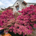 UN Honors 3 Chinese Cities for Eco-Waste Innovation 🌱🏙️