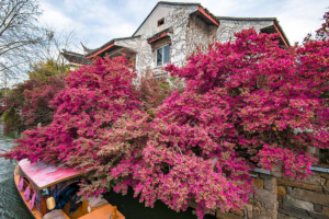 UN Honors 3 Chinese Cities for Eco-Waste Innovation 🌱🏙️