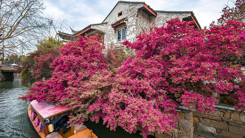 UN Honors 3 Chinese Cities for Eco-Waste Innovation 🌱🏙️