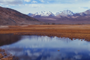 Nature’s Rebirth: Taheman Wetland Awakens on the Pamir Plateau 🌱🏔️ video poster