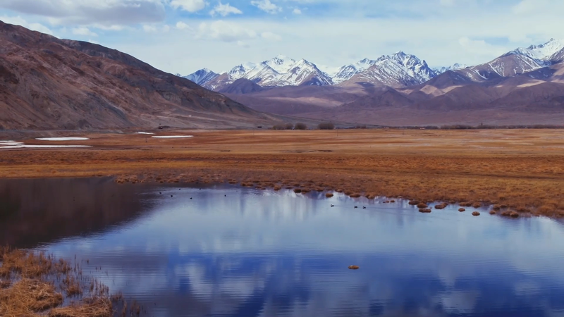 Nature’s Rebirth: Taheman Wetland Awakens on the Pamir Plateau 🌱🏔️ video poster