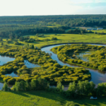 China's Green Revolution Hits 56% Forest & Grass Coverage 🌱