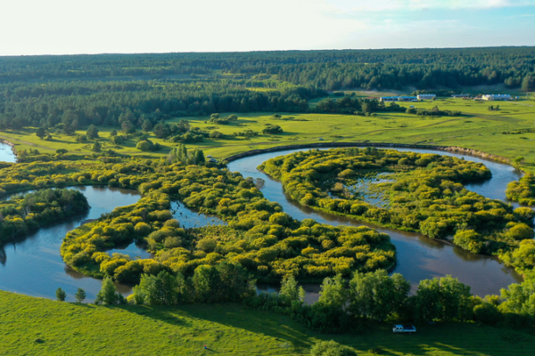 China's Green Revolution Hits 56% Forest & Grass Coverage 🌱