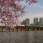 Grand Canal: Ancient Trade Meets Modern Diplomacy in 2026 🌍✨