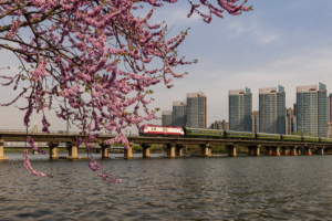 Grand Canal: Ancient Trade Meets Modern Diplomacy in 2026 🌍✨