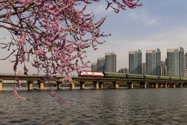 Grand Canal: Ancient Trade Meets Modern Diplomacy in 2026 🌍✨