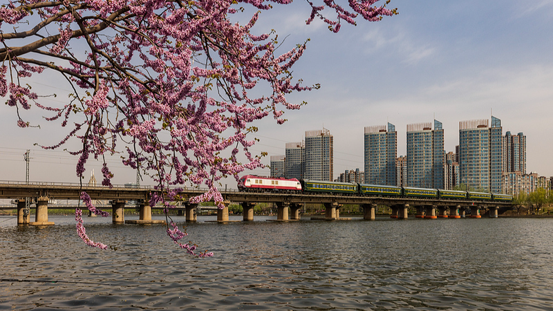 Grand Canal: Ancient Trade Meets Modern Diplomacy in 2026 🌍✨