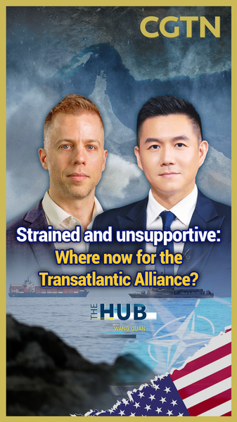 Transatlantic_Tensions_Rise_as_Trump_s_Hormuz_Plan_Faces_Reluctant_Allies video poster