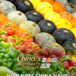 From Cabbage to Abundance: How China Revolutionized Its Veggie Supply 🌱🍅🥬 video poster